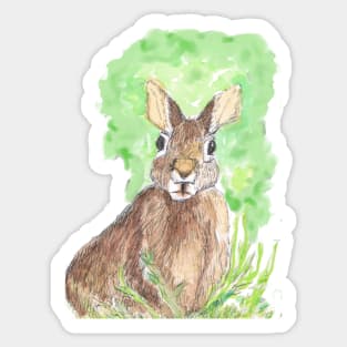 Hare listening........ Sticker